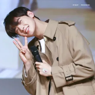 🍃 kpop, アイドル, 歌手, 俳優, ピースサイン, 笑顔, 幸せ, チャウヌ telegram sticker