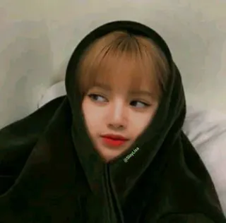 🌼 @StayLisa personne, sweat à capuche, femme, kpop, lisa whatsapp sticker