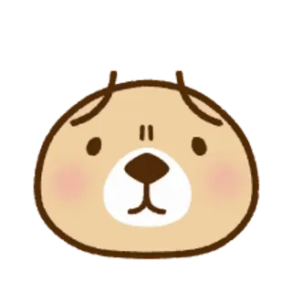 🐧 可愛い, 動物, クマ, かわいい, 絵文字 telegram sticker