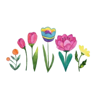 💞 花, 郁金香, 水彩, 花卉, 植物 telegram sticker