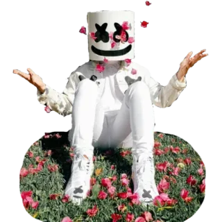 😡 Marshmello Marshmello, DJ, música, música eletrônica, máscara, flores telegram sticker