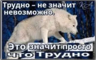 🤙 Трудно - не значит невозможно.
Это значит просто что трудно wolf, motivierend, russisch, text, schnee, winter telegram sticker