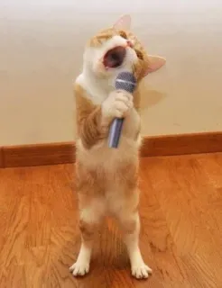 🌟 chat, chant, microphone, animal, performance, mignon whatsapp sticker