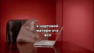😍 к чертовой мати ри эта ВСО สัตว์, คอมพิวเตอร์, สำนักงาน, โต๊ะทำงาน, มีม telegram sticker