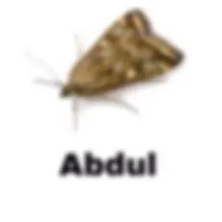 🙇‍♀ Abdul telegram sticker