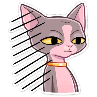 😐 cat, animal, sticker, sphynx cat, pet telegram sticker