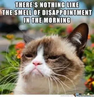 🌞 Grumpy Cat THERE'S NOTHING LIKE THE SMELL OF DISAPPOINTMENT IN THE MORNING 猫, 暴躁猫, 表情包, 失望, 早上, 搞笑, 幽默 whatsapp sticker