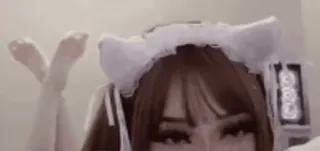 🌟 anime, cat ears, cute, girl whatsapp sticker