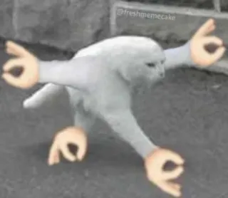 👌 Katze, Meme, Anstößig, OK-Geste, Humor whatsapp sticker