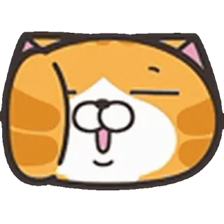 🐱