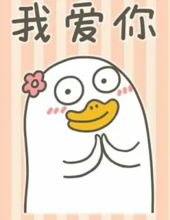🐣 我爱你 การ์ตูน, เป็ด, ความรัก, จีน, ทักทาย telegram sticker