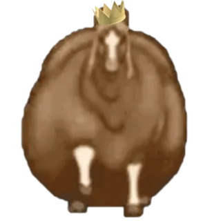 🤩 horse, animal, crown, funny, meme, digital art whatsapp sticker