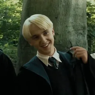 🐍 Draco Malfoy Harry Potter Draco Malfoy, Harry Potter, Slytherin, mago, magia, estudiante whatsapp sticker