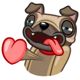 🐶