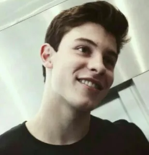 😬 Shawn Mendes Shawn Mendes, singer, celebrity, musician, portrait, person telegram sticker