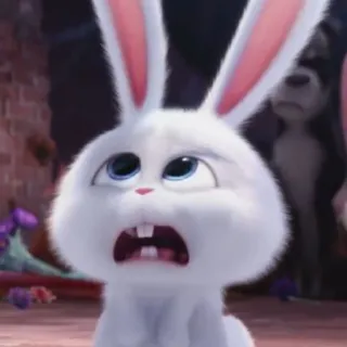 🐰 Snowball The Secret Life of Pets rabbit, bunny, white, cute, animal, pet telegram sticker