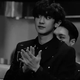 -Coyote_pcy whatsapp stickers