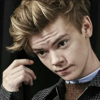 👤 portrait, jeune homme, acteur, cheveux blonds, photographie de portrait telegram sticker
