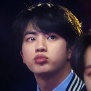 🐹 Jin kpop, ca sĩ, dễ thương, khuôn mặt, chân dung telegram sticker