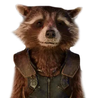🙁 Rocket Raccoon Guardians of the Galaxy mapache, marvel, espacio, cohete, galaxia, guardián, personaje de película whatsapp sticker