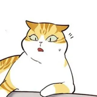 🐈 mèo, thú cưng, động vật, hoạt hình, nhãn dán, dễ thương telegram sticker