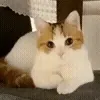 😀