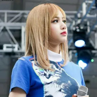 🙁 Lisa Lisa, Blackpink, K-pop, Idole, Chanteuse, Cheveux blonds, T-shirt chat telegram sticker