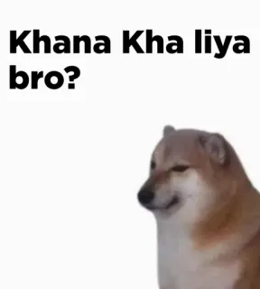 🔥 Khana Kha liya bro? 개, 밈, 음식, 질문, 친구 telegram sticker
