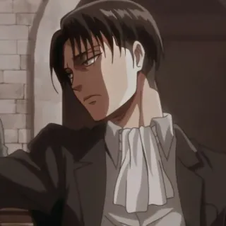 😒 Levi Ackerman Attack on Titan Levi, Ataque dos Titãs, Anime, Personagem, Militar, Soldado, Ação telegram sticker