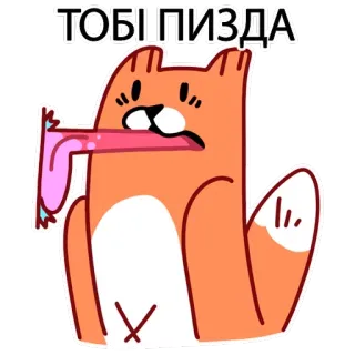 ✊️ ТОБІ ПІЗДА kucing, binatang, kartun, ofensif, menghina telegram sticker