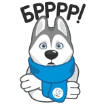 🥶 hond, husky, winter, sjaal, cartoon, koud, sneeuw telegram sticker