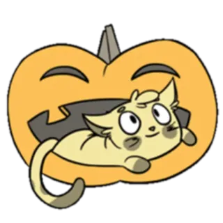 🎃 cat, pumpkin, halloween, cute, animal, fall, sticker telegram sticker