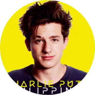 😳 Charlie Puth CHARLIE PUTH musician, singer, celebrity, pop music telegram sticker