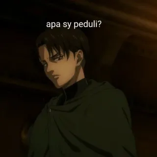 ☕ Levi Attack on Titan apa sy peduli? Anime, Captain Levi, Attack on Titan, Ausdruck, Haltung, Zitat whatsapp sticker