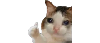 👍 gatto, pollice in su, triste, meme, animale telegram sticker