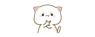 🤔 gato, dedo medio, grosero, ofensivo, pegatina whatsapp sticker