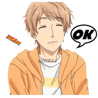 🆗 OK ok, anime, personaggio, cartone animato, carino, felice telegram sticker