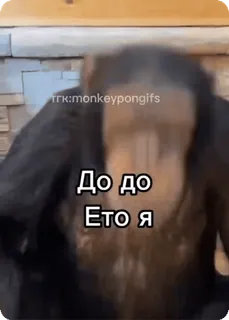 😀 До до
Ето Я monkey, ape, animal, funny, meme telegram sticker