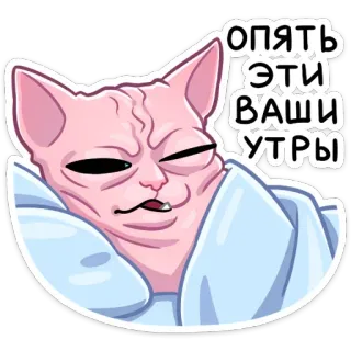 ☀️ опять эти ваши утры Katze, Sphynx, Morgen, Laune, Lustig, Schläfrig telegram sticker