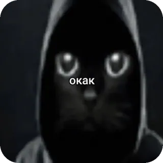 🐈‍⬛ окак kucing, hoodie, rusia, meme, binatang, lucu whatsapp sticker