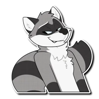 😍 енот, животное, мультфильм, самодовольный, пушистый, млекопитающее whatsapp sticker