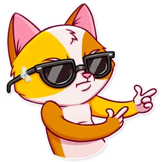 😎 gatto, occhiali da sole, cool, animale, adesivo telegram sticker