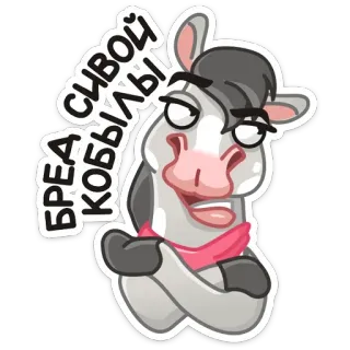 🙄 БРЕД СИВОЙ КОБЫЛЫ cheval, dessin animé, animal, russe, argot telegram sticker