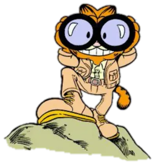 👀 Garfield Garfield, desenho animado, binóculos, gato, adesivo telegram sticker
