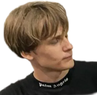 😒 palm angels 남자, 사람, 인물 사진, 금발 telegram sticker