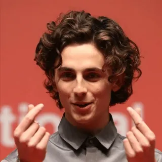 ❤️ Timothée Chalamet Тимоти Шаламе, актер, знаменитость, портрет, сердце из пальцев whatsapp sticker
