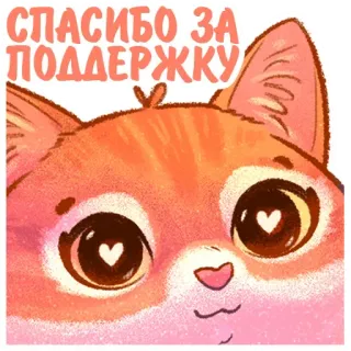 💕 СПАСИБО ЗА ПОДДЕРЖКУ Katze, Kätzchen, Herzaugen, Danke, Unterstützung telegram sticker
