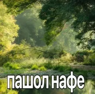 🖕 пашол нафе Wald, Natur, Wasser, Bäume, Landschaft telegram sticker
