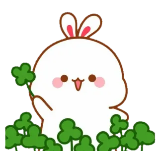 🐰 토끼, 클로버, 귀여운, 행운, 만화, 동물, 행복한 telegram sticker