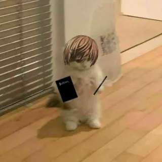 📓 Light Yagami Death Note cat, anime, death note, light yagami, manga, funny, meme telegram sticker